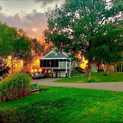 a tree in front of a lush green field